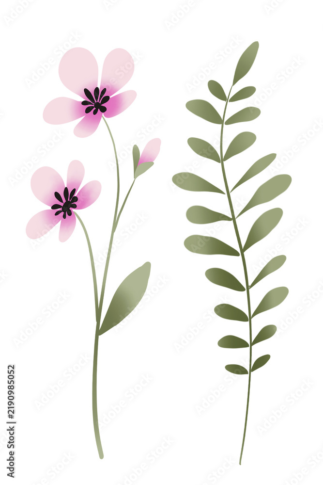 Obraz premium Hand drawing flower watercolor, floral botanical illustration, clip art. Perfectly for printing design on invitations, cards, posters and other.