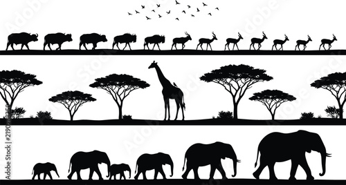 Photography African wildlife savanna landscape banners featuring elephant herd giraffe acaci