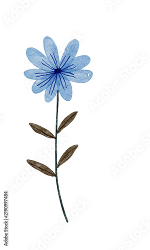 Single blue flower with leaves botanical illustration hand painted