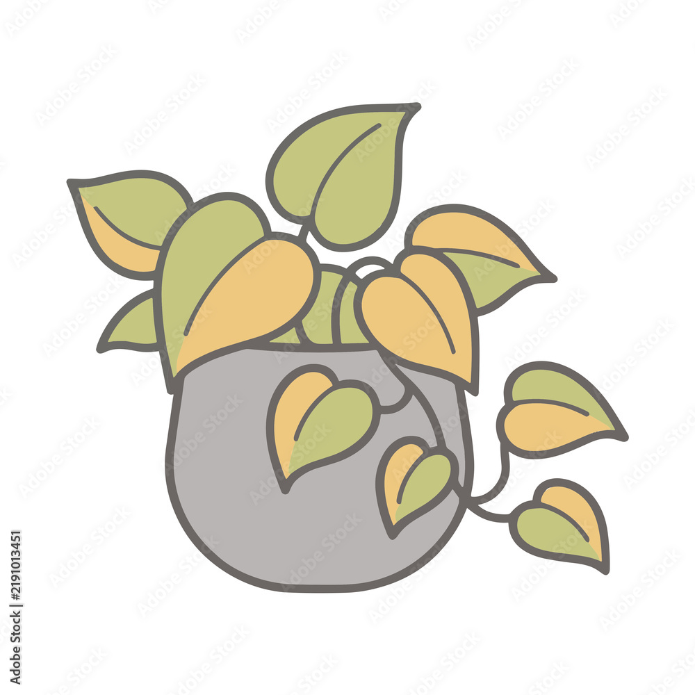 Obraz premium Potted plant with green and yellow leaves