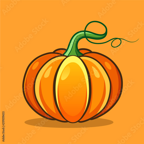 Vector illustration of an orange pumpkin icon on isolated background