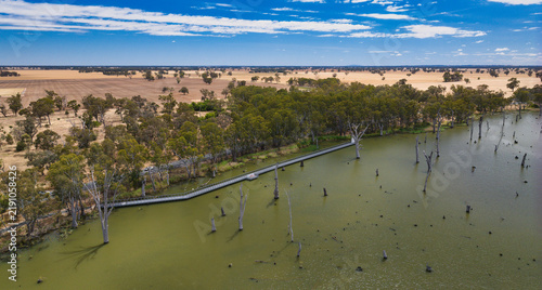 Konstfotografi Boardwalk along Lake Mulwala shoreline with flooded trees