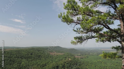 Aerial view of Mount Magazine forest landscape with pine tree