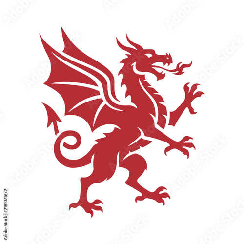 Dragon fire logo vector 