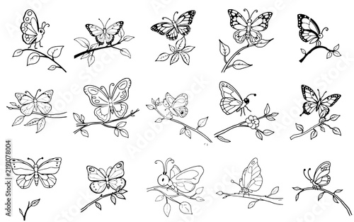 Cute Simple Butterfly - Bold Black Outline Easy Kids Coloring Page, No Shading, Single Character on White Background