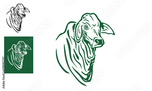 great brahman cattle head logo, big and strong bull in line style vector illustration