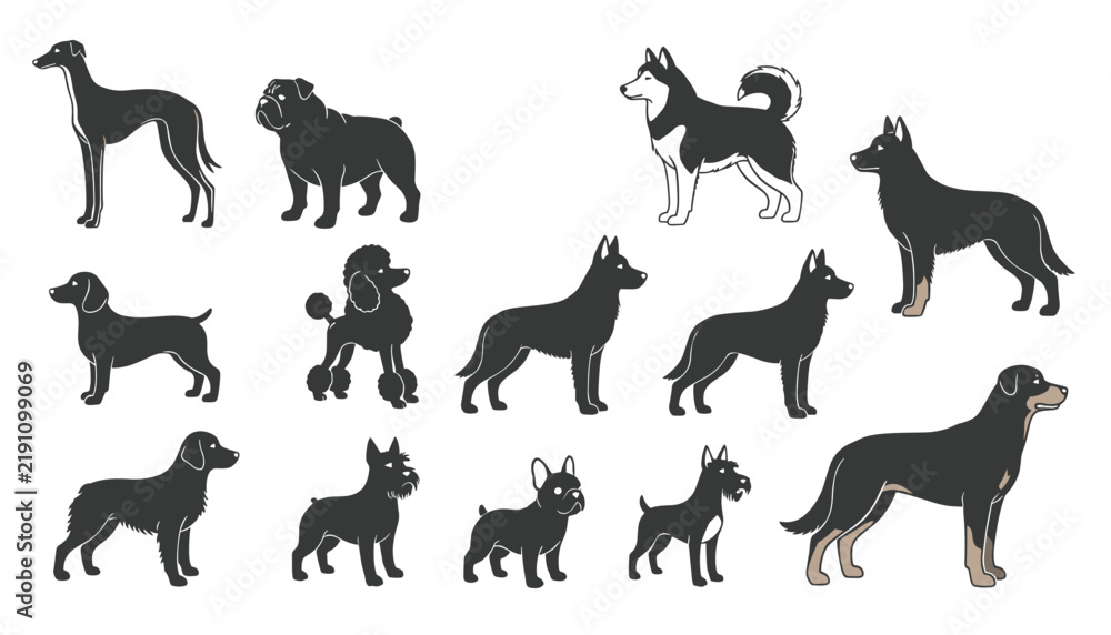 Obraz premium Grid of various domestic dog breed silhouettes including greyhound, poodle, bulldog, and husky on a white background.