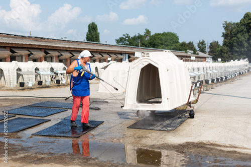 Farm worker cleaning a calf hutch with a high-pressure washer on a dairy farm