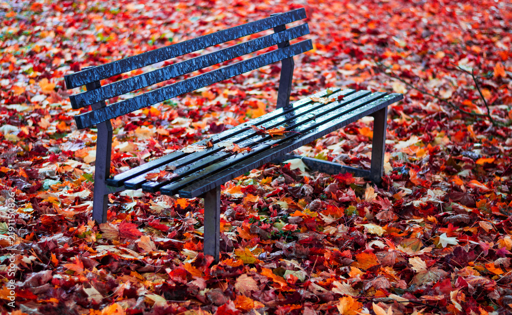 Obraz premium A deep moment of autumnal stillness and melancholy among purple-red leaves and an empty bench