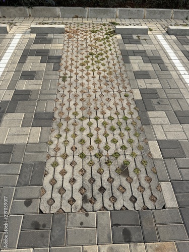 Cuadro en lienzo Permeable grass pavers in parking area for sustainable urban drainage
