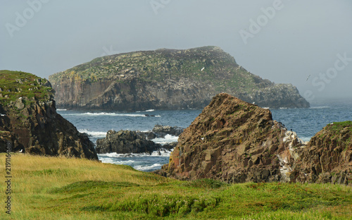 dramatic vistas of sea stacks, distant birds,  and rough surf  in the labrador sea from the grassy cliffs  of the elliston puffin viewing site during nesting season on a  summer day on the bonavista p