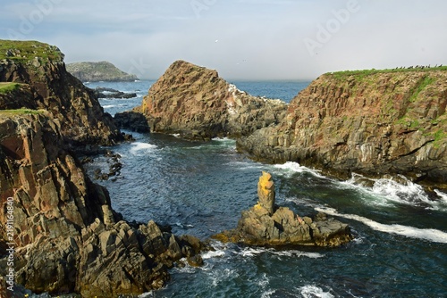 dramatic vistas of sea stacks, distant birds,  and rough surf  in the labrador sea from the steep cliffs  of elliston puffin viewing site during nesting season on a  summer day on  bonavista peninsula