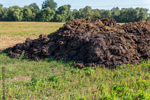 Large pile of manure on a harvested field in autumn, prepared for organic fertilization, nutrient recycling and soil improvement in sustainable agricultural land management.