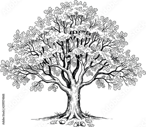 Black and White Tree Silhouette with Detailed Roots and Branches, Nature Growth Symbol Vector Illustration for Forest, Garden, Spring, Summer, Autumn and Winter Designs