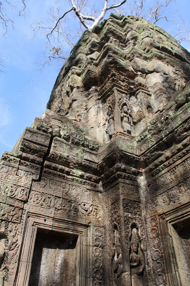 Obraz premium ruined buddhist and hindu khmer temple (ta prohm) in angkor in siem reap in cambodia 