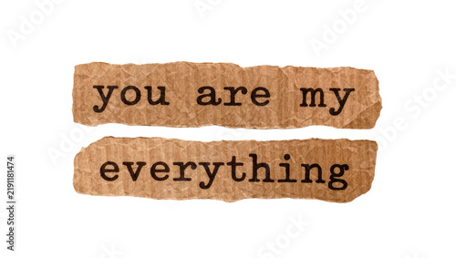 Foto Two torn brown cardboard strips with black text you are my everything , isolated