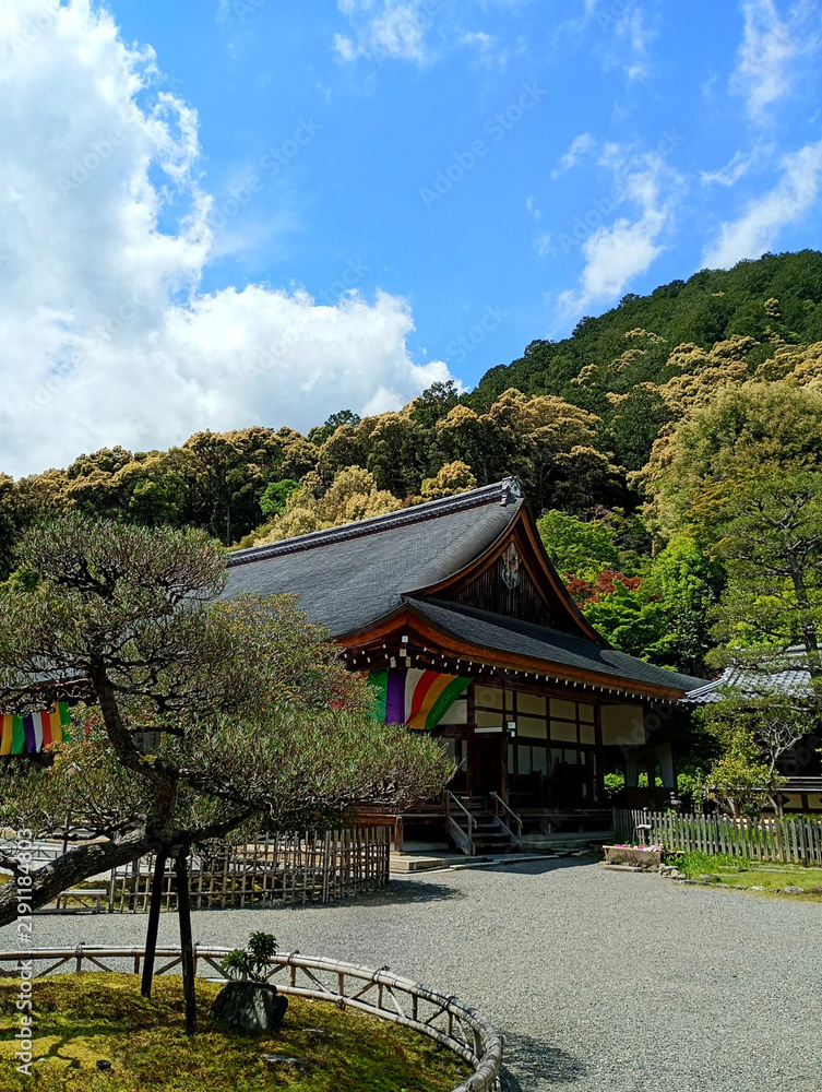 Fototapeta premium temple in Kyoto Japan 