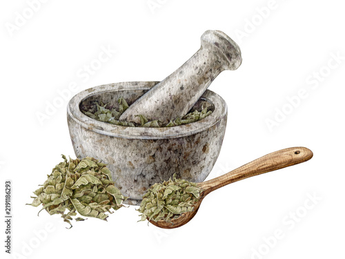 Stone mortar with dried herbs and wooden spoon watercolor illustration isolated on background. Dry herbs for herbal tea, apothecary products, natural packaging, labels and wellness branding.