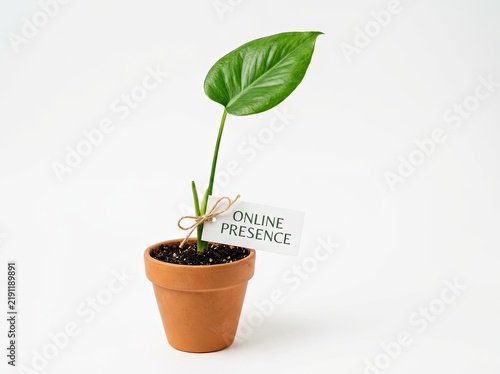Potted plant seedling with Online Presence tag ideal for digital marketing concepts symbolizing brand growth web identity and business visibility
