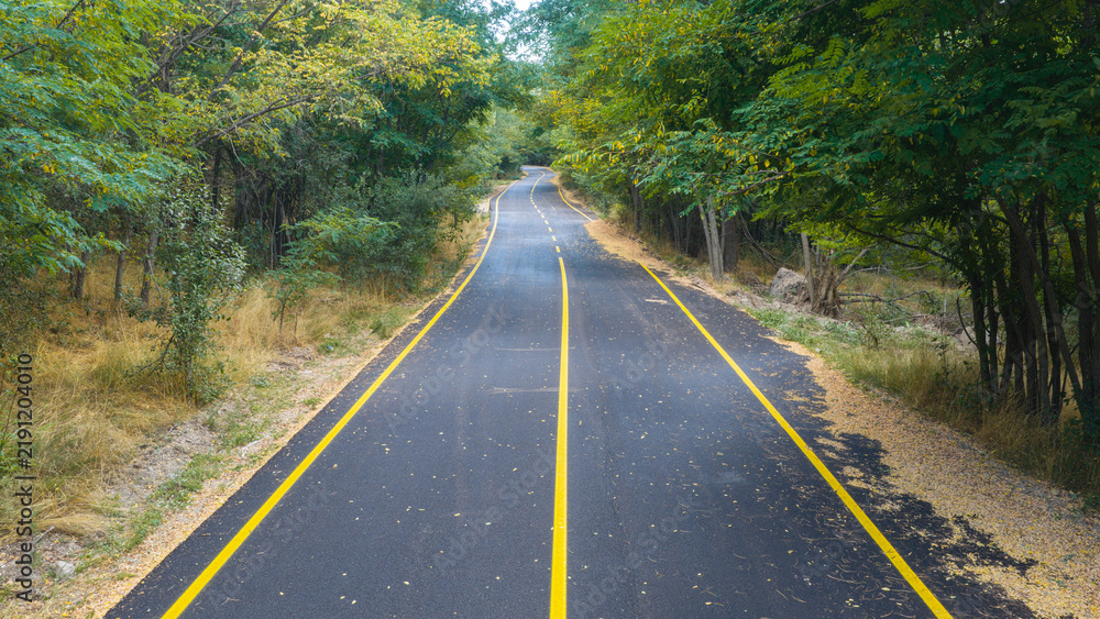 Obraz premium A view of an empty, yellow-striped asphalt road winding through the forest, with yellowed fallen leaves lining its edges.