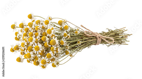 Dried chamomile flowers bouquet tied with twine, organic herbal tea ingredients, rustic medicinal chamomile bunch for wellness isolated PNG with Transparent Background