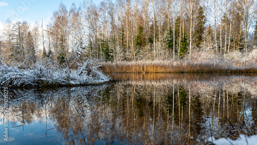 landscape with a lake in late autumn, blue sky, reflections in the water