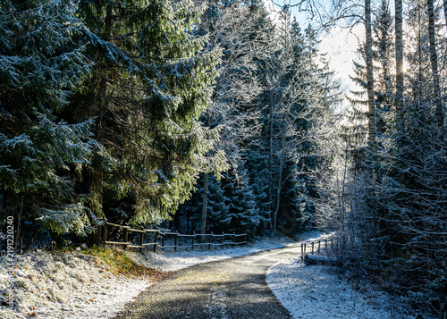 beautiful sunny winter day from the park, first snow on the trees, snowy trails