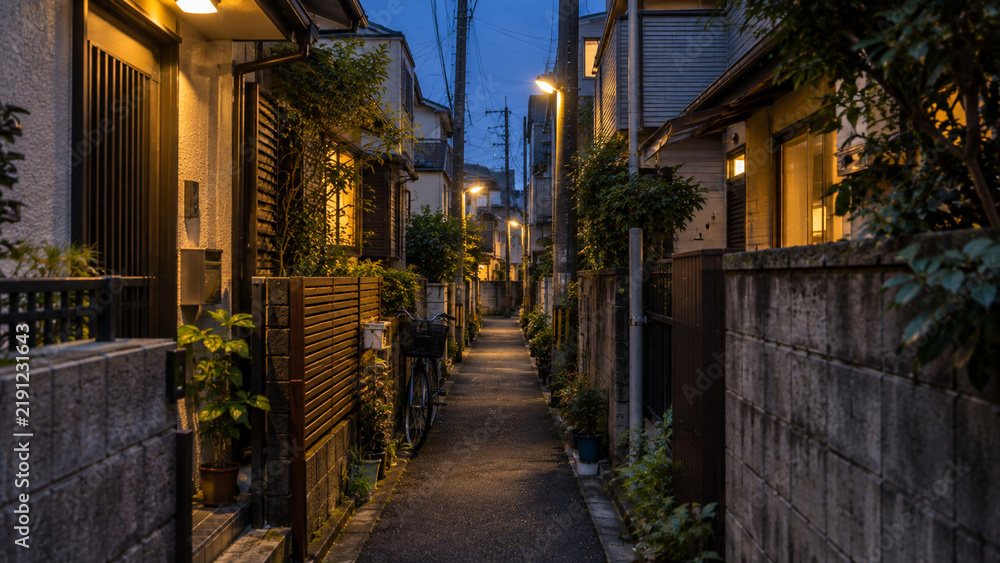 Fototapeta premium Narrow Residential Alley in Japan at Dusk