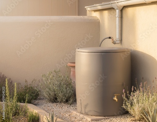 Bild auf Leinwand Rainwater Harvesting Barrel in Drought Tolerant Home Garden