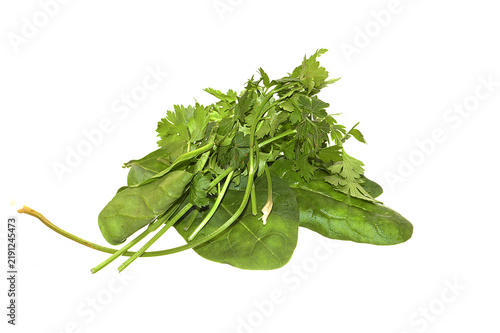Salad isolated on white background