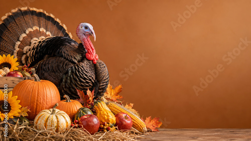 Holiday Thanksgiving turkey with autumn pumpkins, sunflowers, apples, and harvest decor on simple background with copy space.
