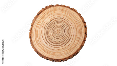 Fotografía Cross section cut of circular tree trunk log isolated on transparent background