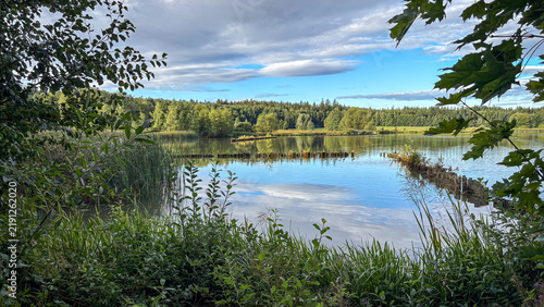 Calm lake view showcasing lush greenery reflections