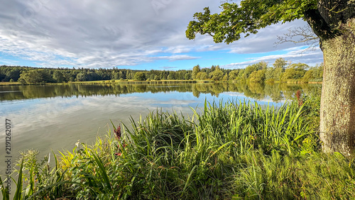 Close Up of Green Grass and Reflections by a Lake