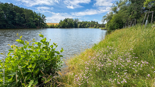 Scenic Lakefront with Vibrant Wildflowers