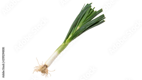 Quadro su tela Single fresh organic green spring onion scallion isolated on transparent background