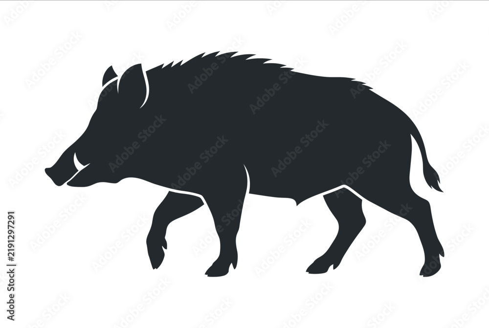 Obraz premium Wild boar silhouette walking in natural outdoor setting