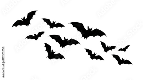 Black silhouette flock of flying bats in various poses