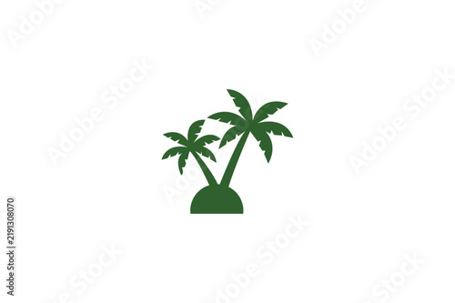 palm tree