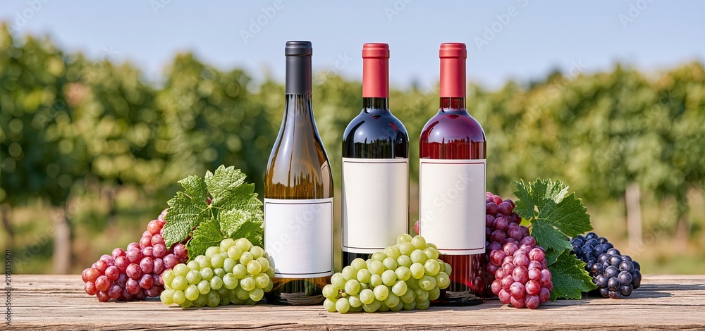 Naklejka premium Premium Croatian wine bottles arranged with grapevine decorations on a rustic wooden table in a summer vineyard setting.