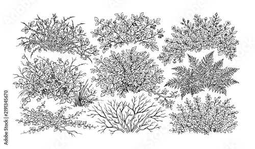 Wild Shrub and Woodland Bush Doodle Outline Element Set