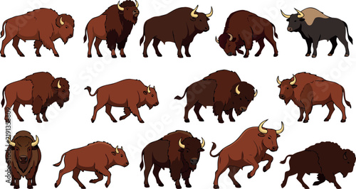 American Bison and Buffalo Vector Illustration Set Featuring Wild North American Mammals Bull Profiles Charging Animals and Wildlife Safari Symbols for Native Nature Graphic Designs
