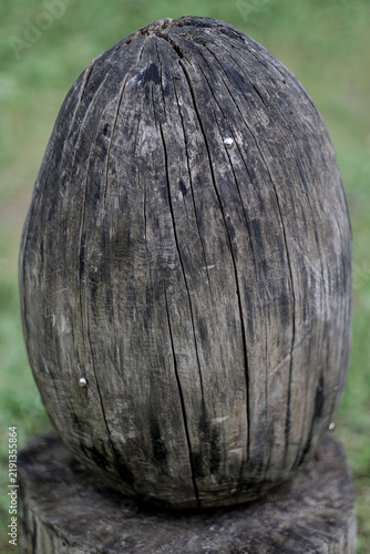 Obraz na plátně The cracked wooden post has a tall, rounded shape that visually resembles a phallic form