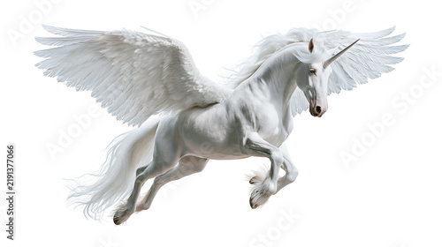 Bild auf Leinwand Majestic white winged unicorn galloping with flowing mane and sharp spiral horn