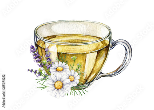 Glass teacup with chamomile and lavender flower, herbal tea hand painted watercolor illustration isolated on background. Herbal tea cup for packaging, wellness branding, labels and menu.