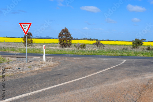 rural road in the countryside with t intersection and give way sign and yellow flowering canola fields in spring