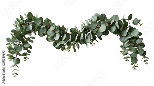 Картината върху платно Green eucalyptus leaf garland with round foliage on flexible stems