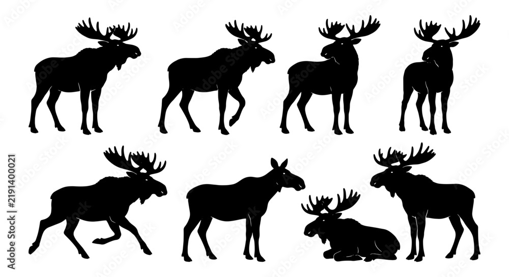 Obraz premium Moose Silhouette Collection, Wildlife Animal Vector Icons, Forest Mammal Graphic Set, Nature Element Illustrations