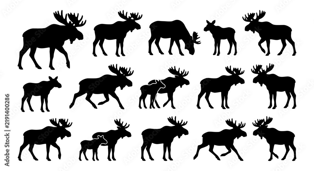 Fototapeta premium Moose Silhouette Collection, Wildlife Animal Vector Icons, Forest Mammal Graphic Elements, Nature Scene Illustrations