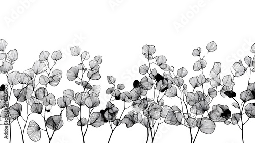 Minimalist Eucalyptus Line-Art Illustration